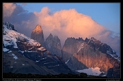 Other mammals and landscapes
